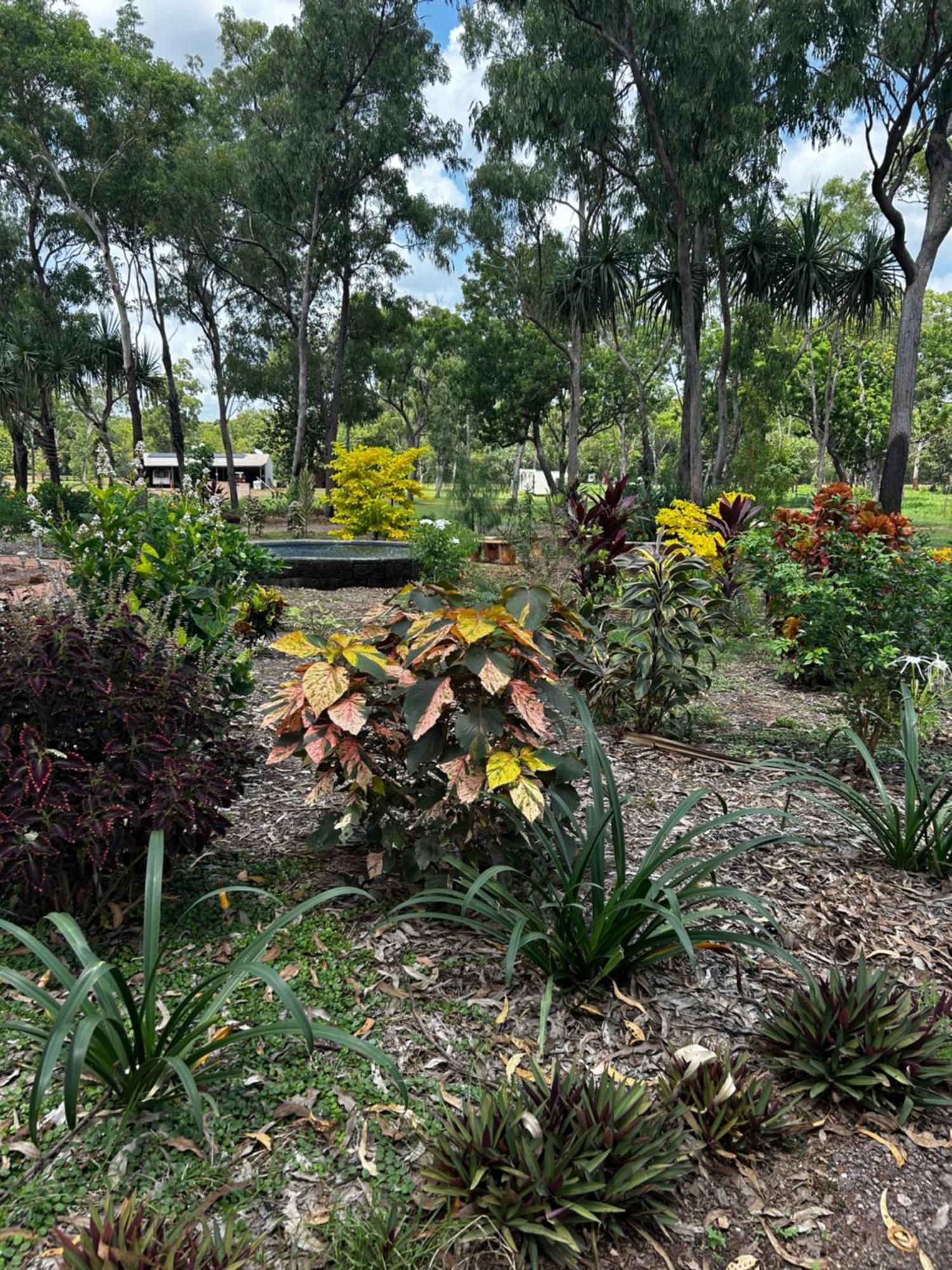 Litchfield Tropical Stay Batchelor Exterior photo