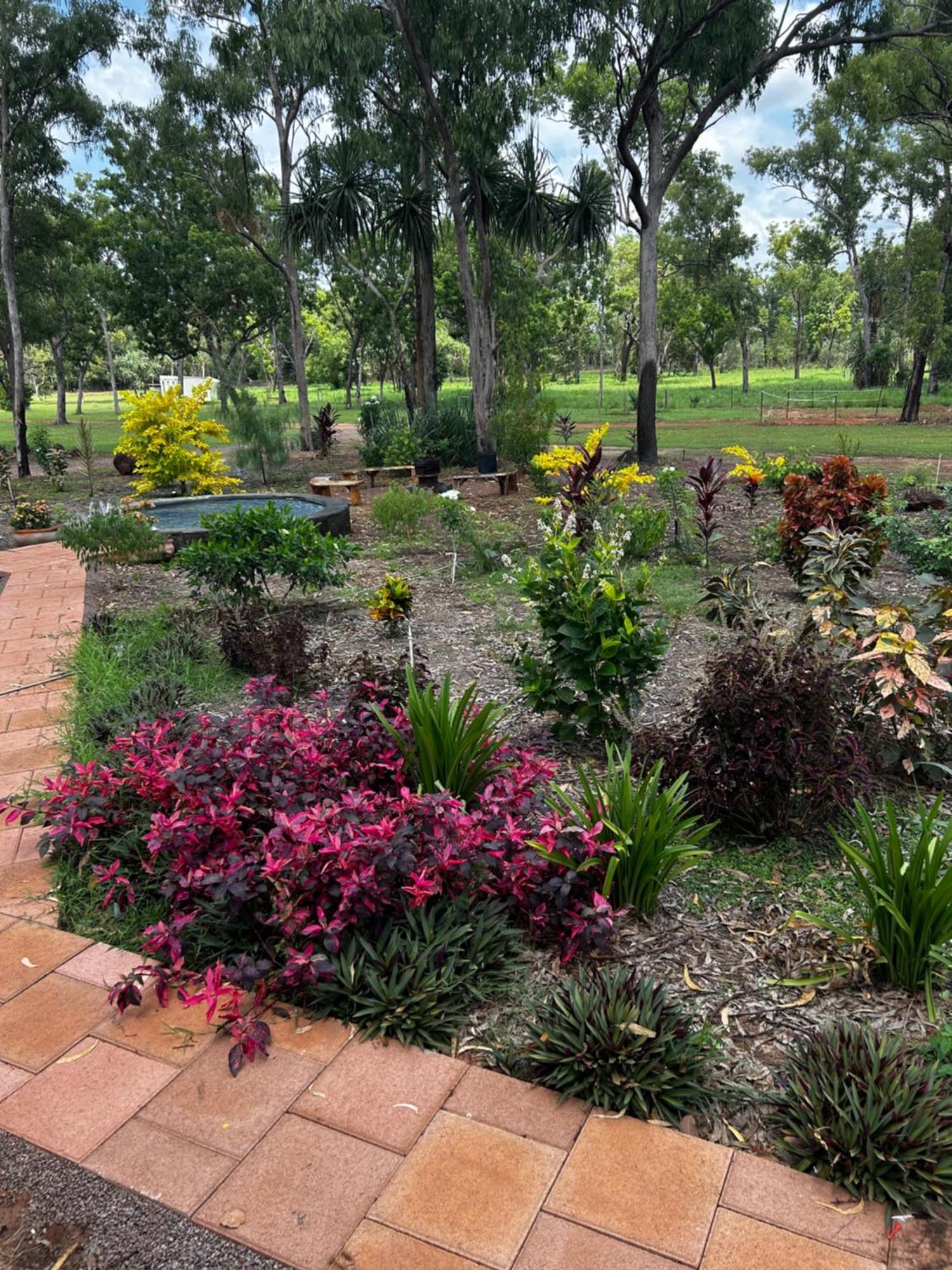 Litchfield Tropical Stay Batchelor Exterior photo