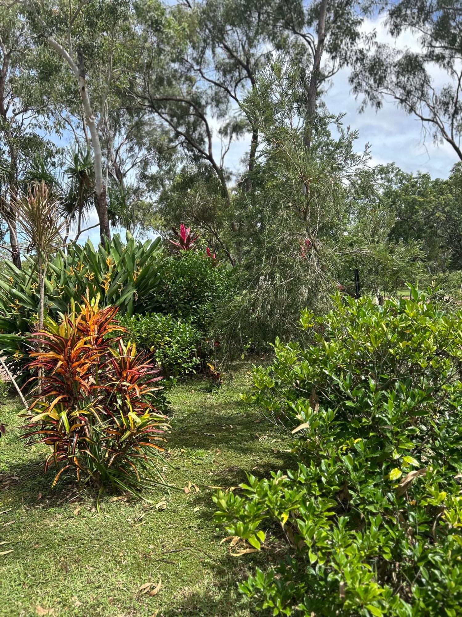 Litchfield Tropical Stay Batchelor Exterior photo